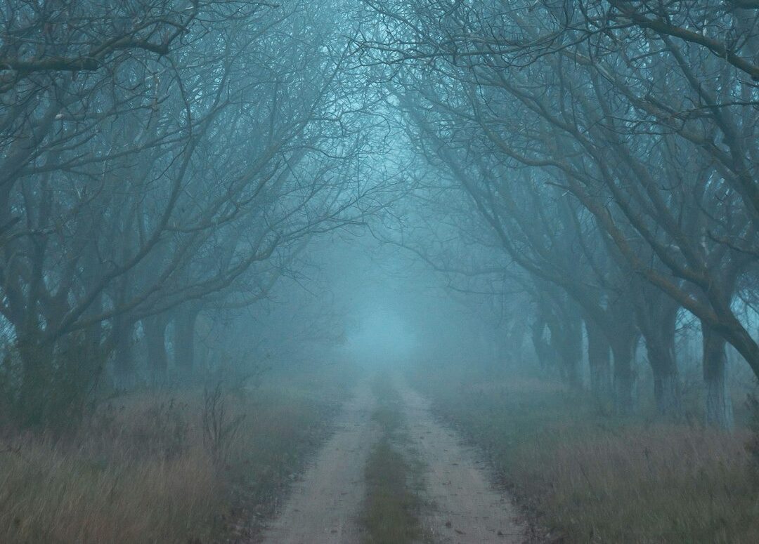 Leadership When the Fog Never Lifts